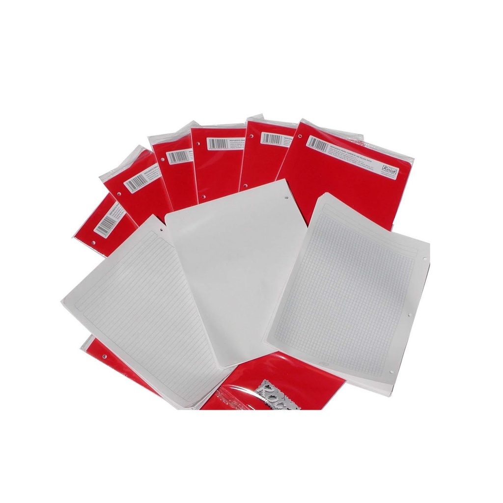 [4504] REPUESTO P/CARPETA ROCA 100 HOJAS 5MM