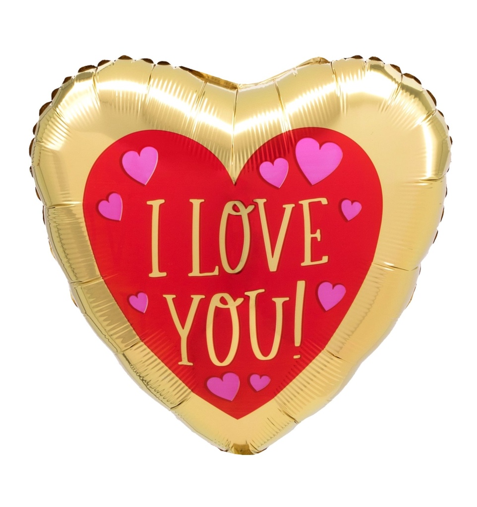 17H LOVE YOU RED & GOLD STARDARD ANAGRAM HVD