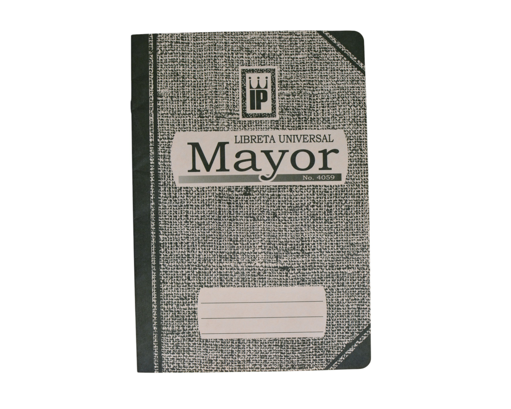 LIBRO MAYOR IP
