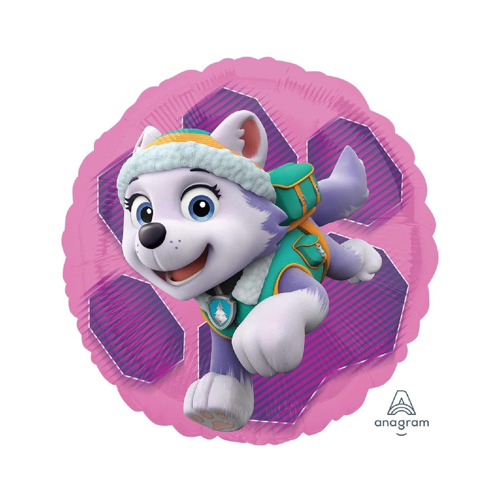 17C MET PAW PATROL SKEY & EVEREST STANDARD ANAGRAM