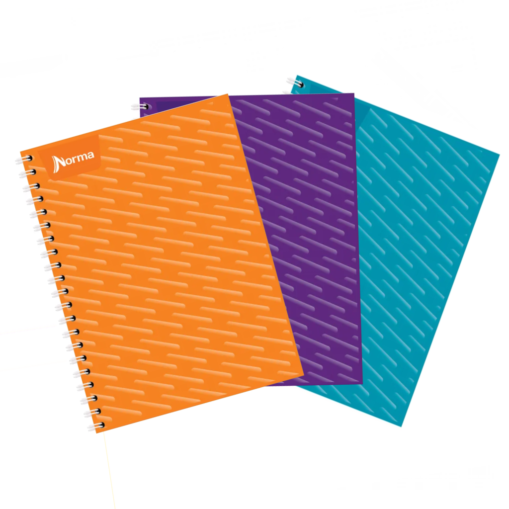 CUADERNO DO AMER NORMA RY 100H