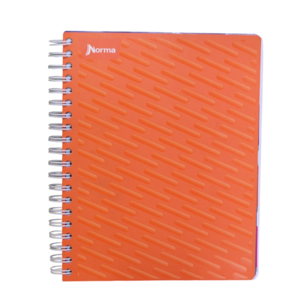 [580978] CUADERNO NORMA 580978 PROF.D.ESP.RAY 200H 5 SEP. NORMA