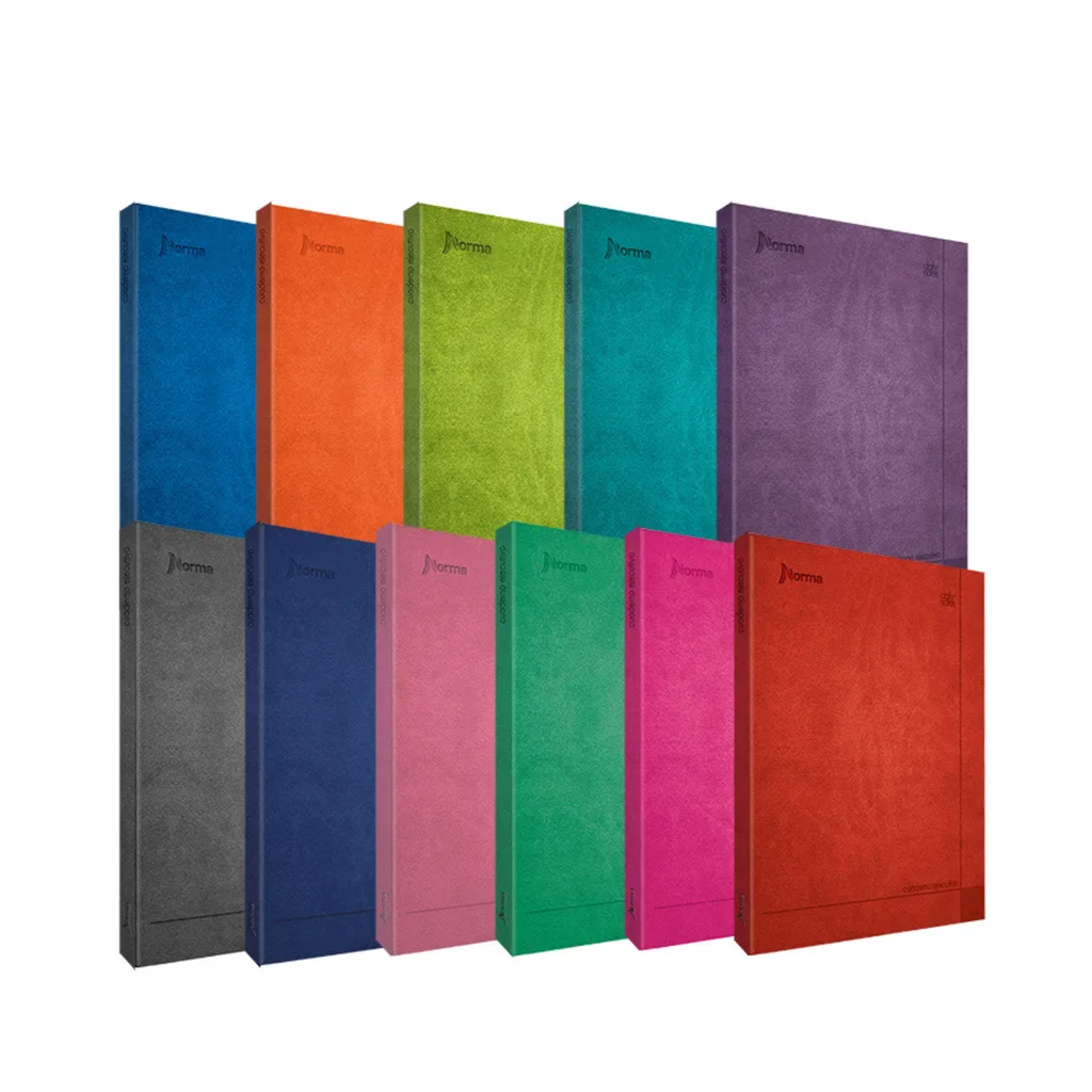 [CAR580640] CUADERNO NORMA 580640 EJECUTIVO GDE DAILY NOTAS RY 100H