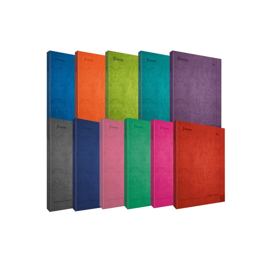 [CAR580641] CUADERNO NORMA 580641 EJECUTIVO MED DAILY NOTAS RY 100H