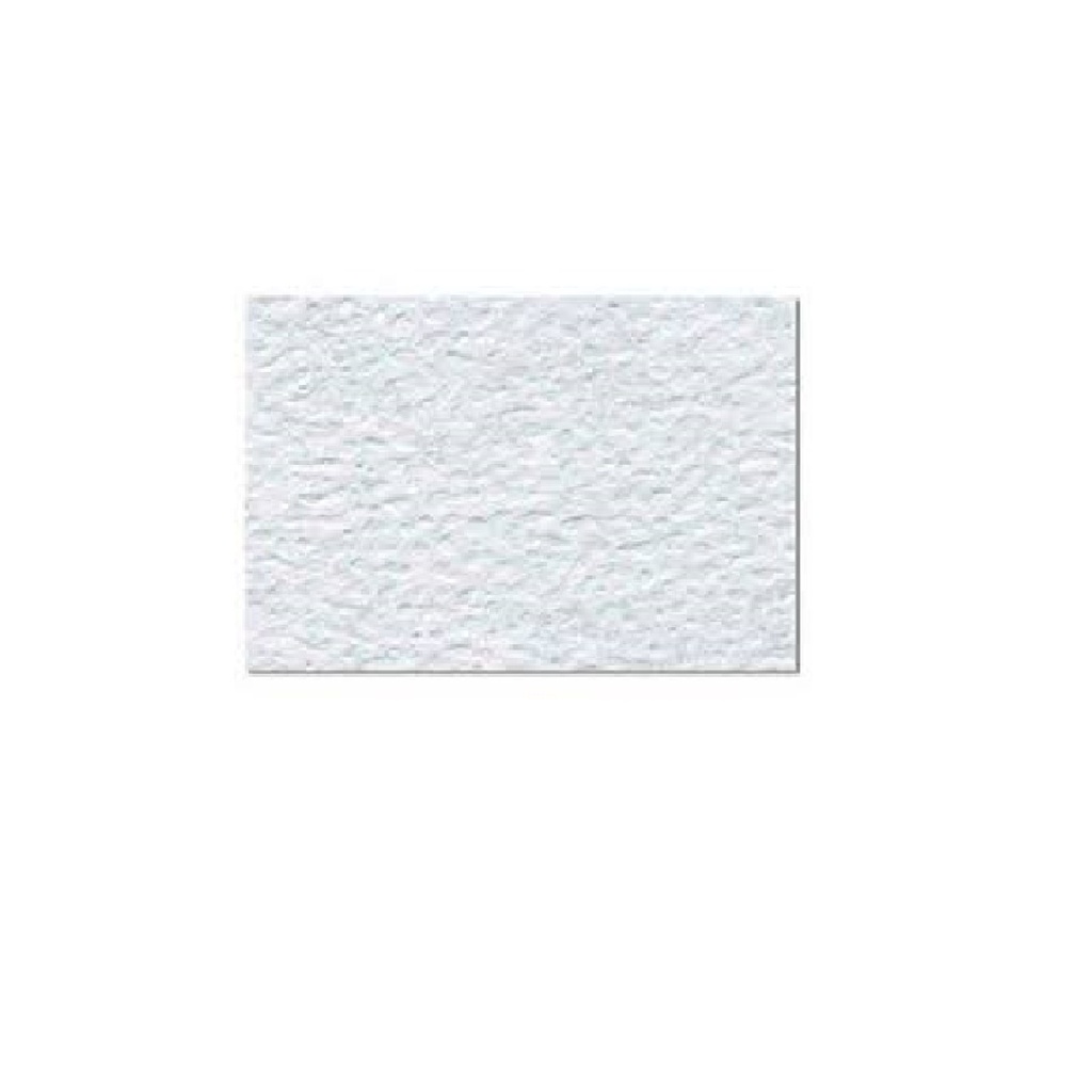 [0110013003528] CASCARON HUEVO OCTAVOS 35X28 112503