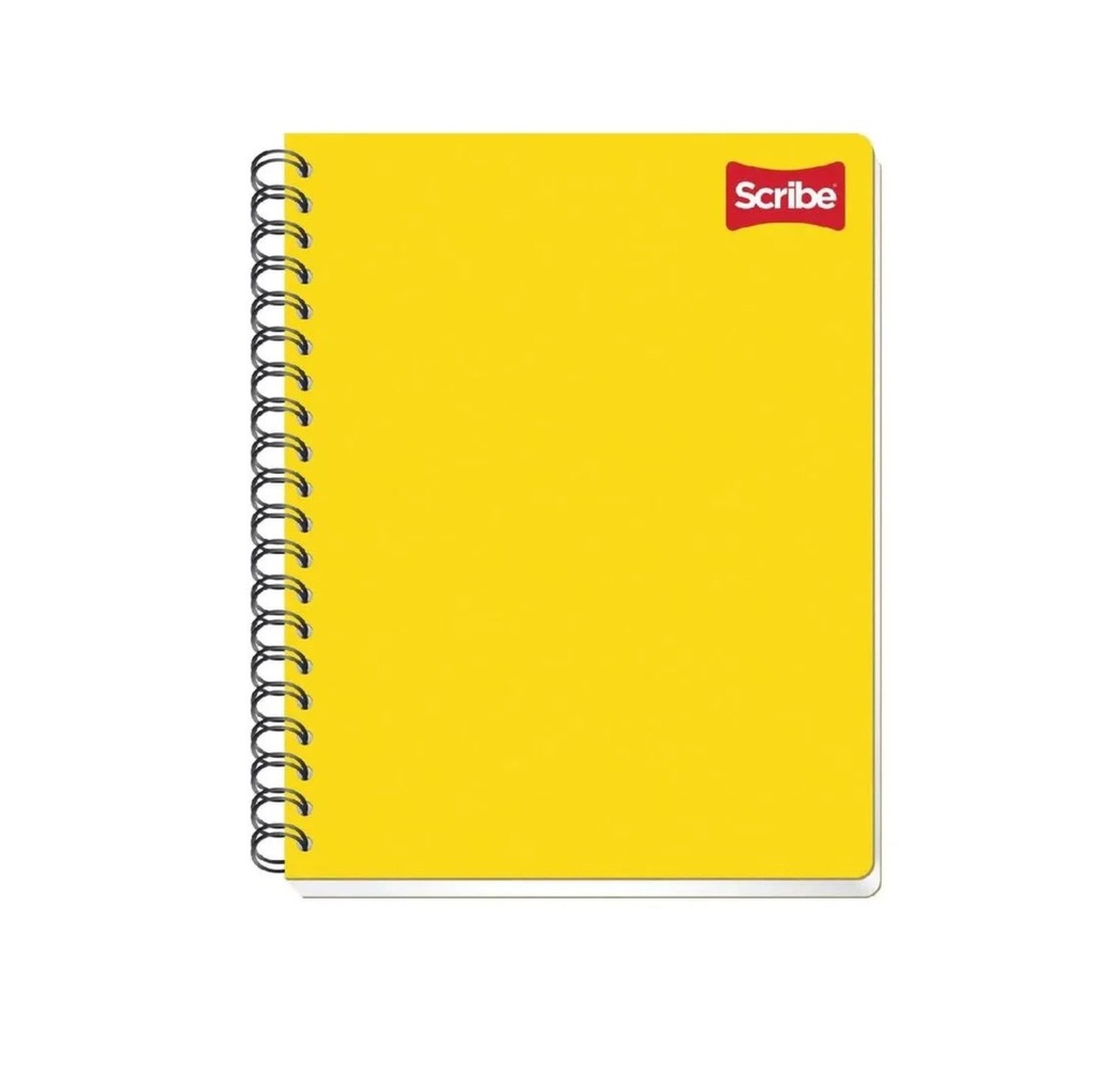 CUADERNO PROFESIONAL ESCOLAR PAUTADO 100H