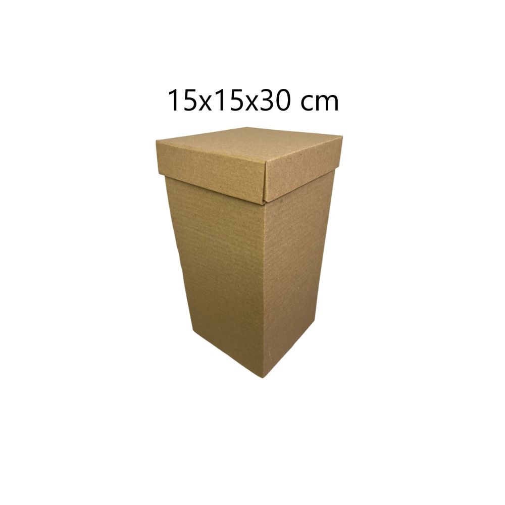 CAJA ALTA 15X30CM