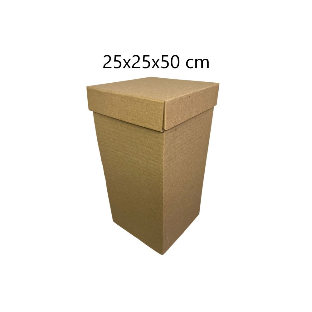 CAJA ALTA 25X50CM
