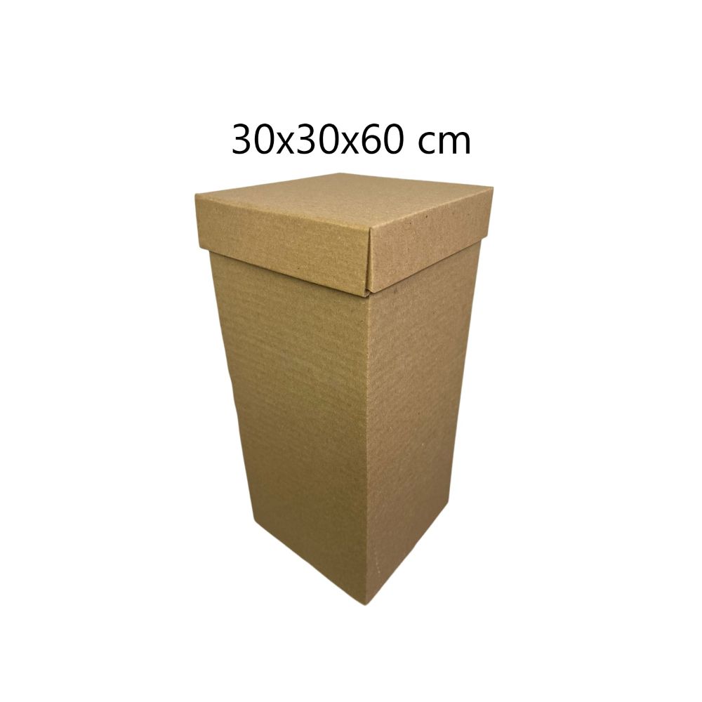 CAJA ALTA DE 30X60CM