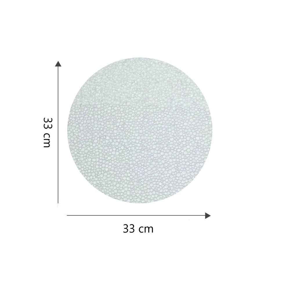 [0310003FF0123] FON DISCO PLANO #10 33CMS.