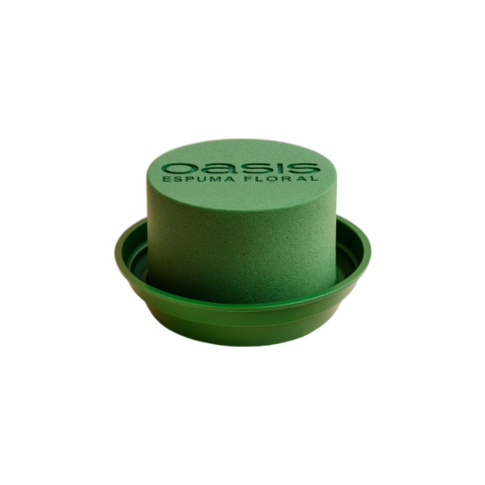 CAJA DE CENTRO DE MESA OASIS
