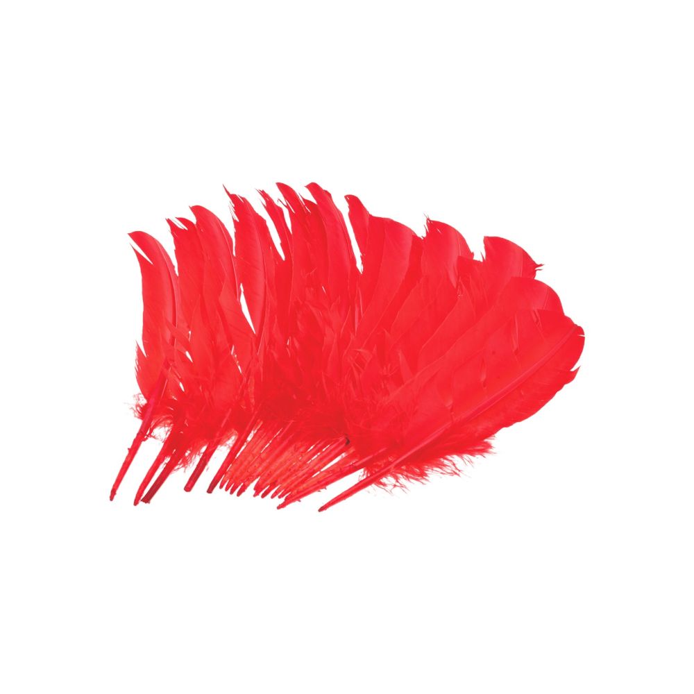 PLUMA PAVO #8" /13" C/10