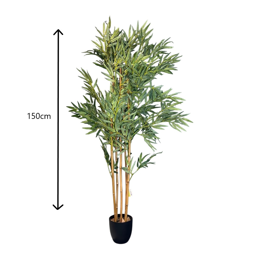 ARBOL DE BAMBU EN MACETA