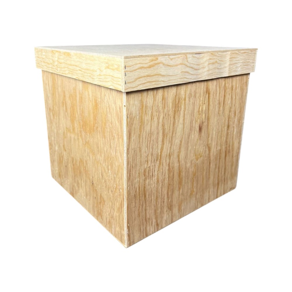 CUBO ECONOMICO C/TAPA 25CM