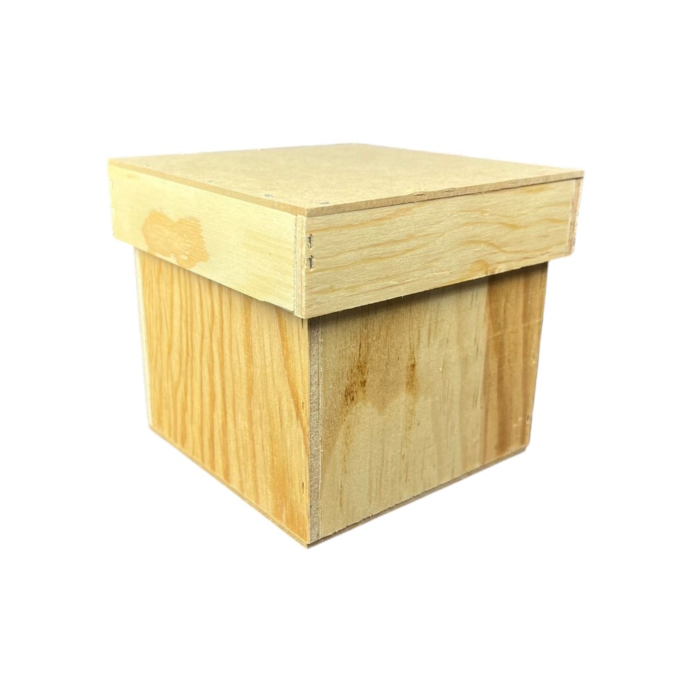 CUBO ECONOMICO C/TAPA DE 12 CM