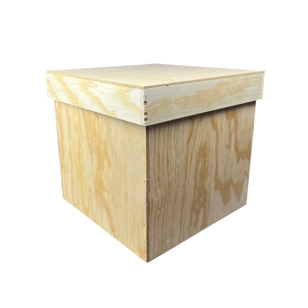 CUBO ECONOMICO C/TAPA DE 15 CM