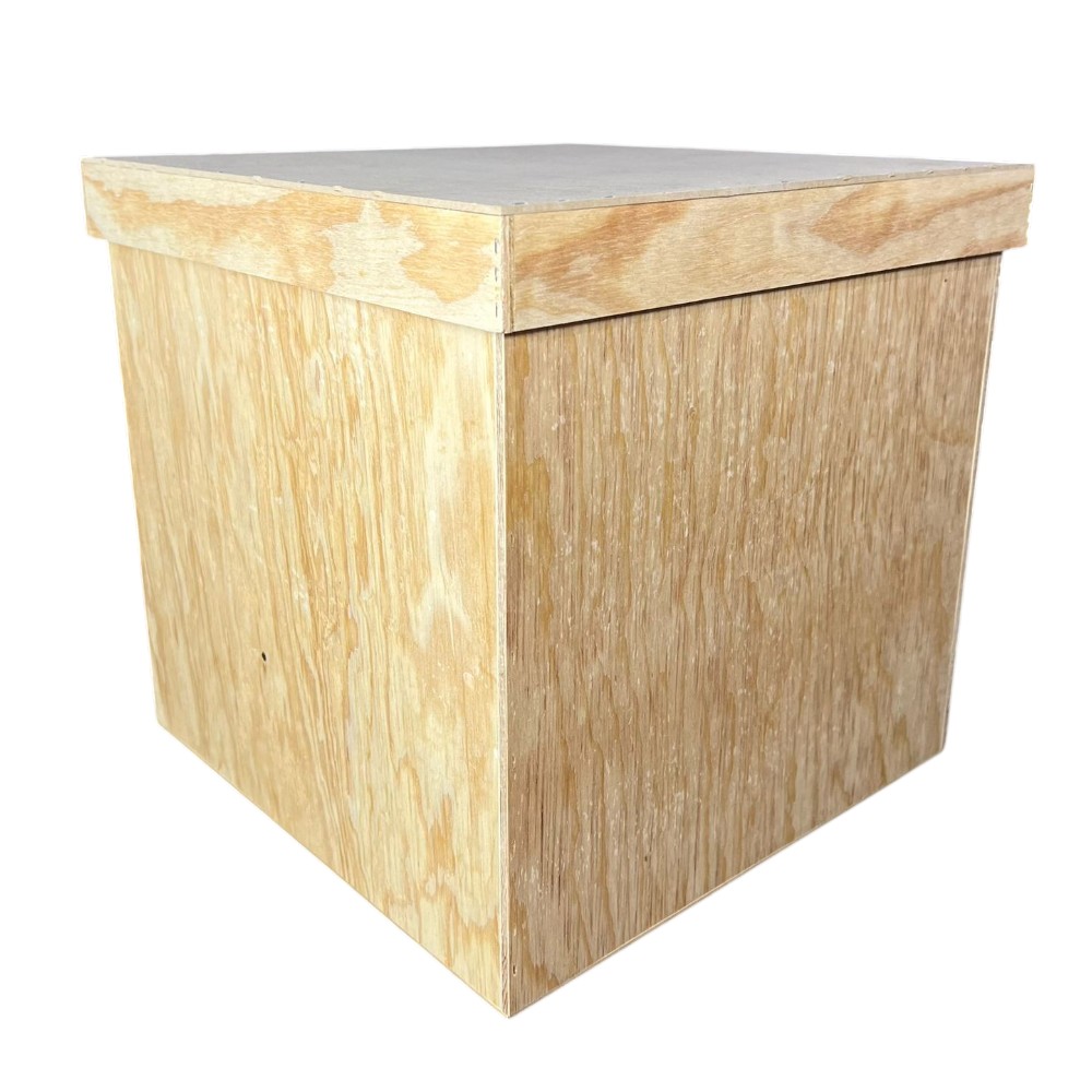 CUBO ECOOMICO C/TAPA 30 CM